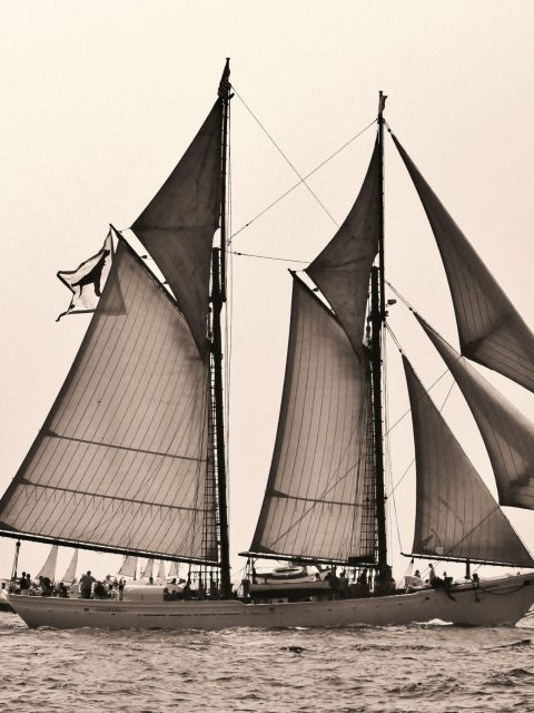 a boat on a body of water